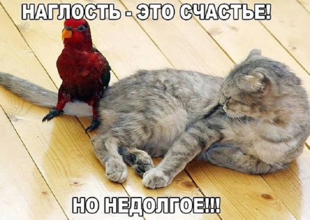 Так себе картинки 23.03.25