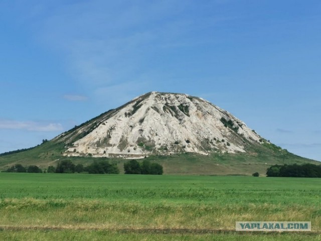 Музыка и музыканты: Самые известные бас-гитаристы