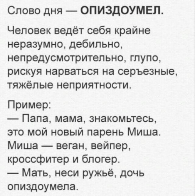 Весёлый полтишок 08.07.25