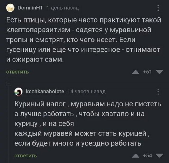Так себе картинки 11.07.25