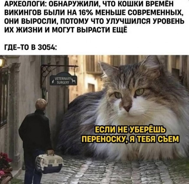 Веселые картинки в маленькую пятницу (17.09)