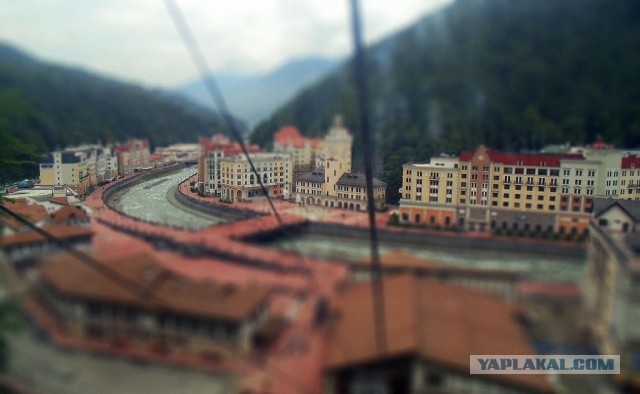 Отпуск в Сочи