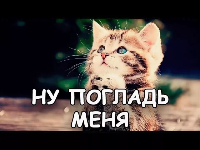 Да ну нафиг