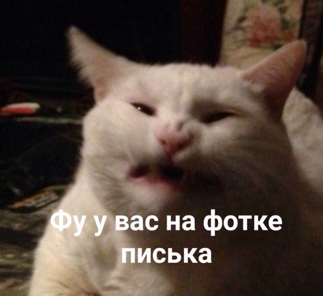 Похожи?
