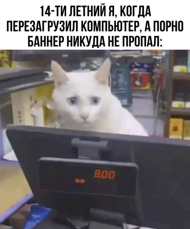 Картиночки, баянчики 12 декабря