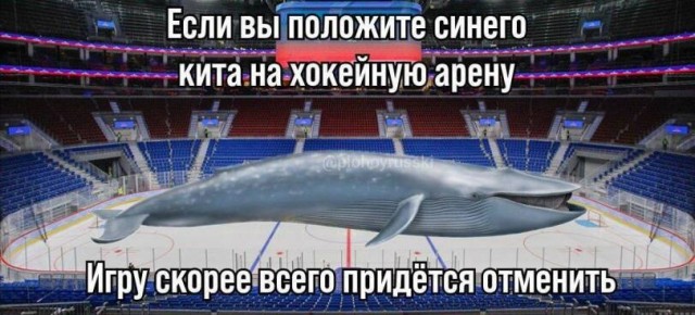 Дегидродегенерация