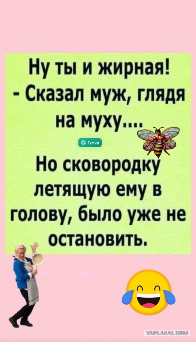 Картинки для деградации 153 (разной степени свежести)
