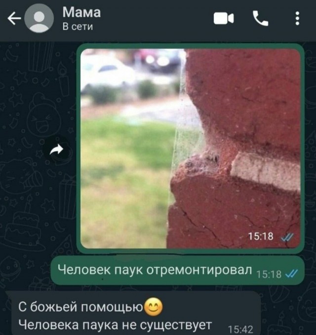 Среды картинки