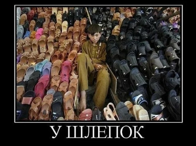 Сударыня Тударыня