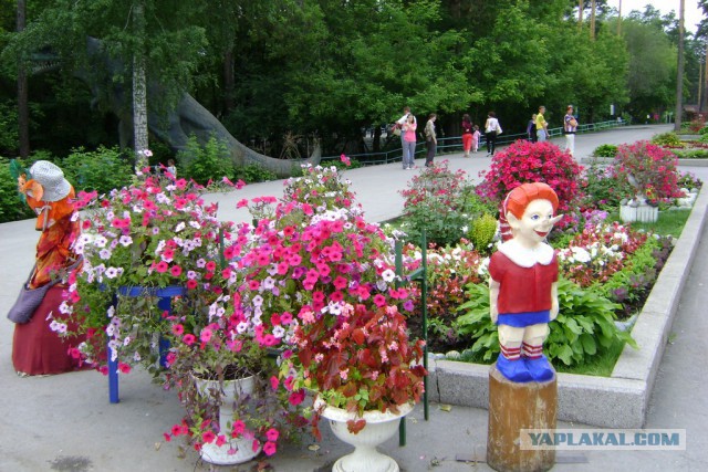 Новосибирск