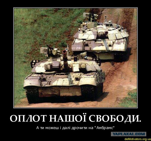 Т-шные мордочки