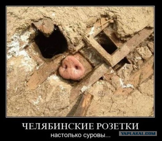 Подборка смешных картинок :)