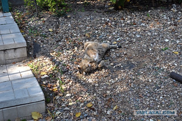А что у Вас сейчас?