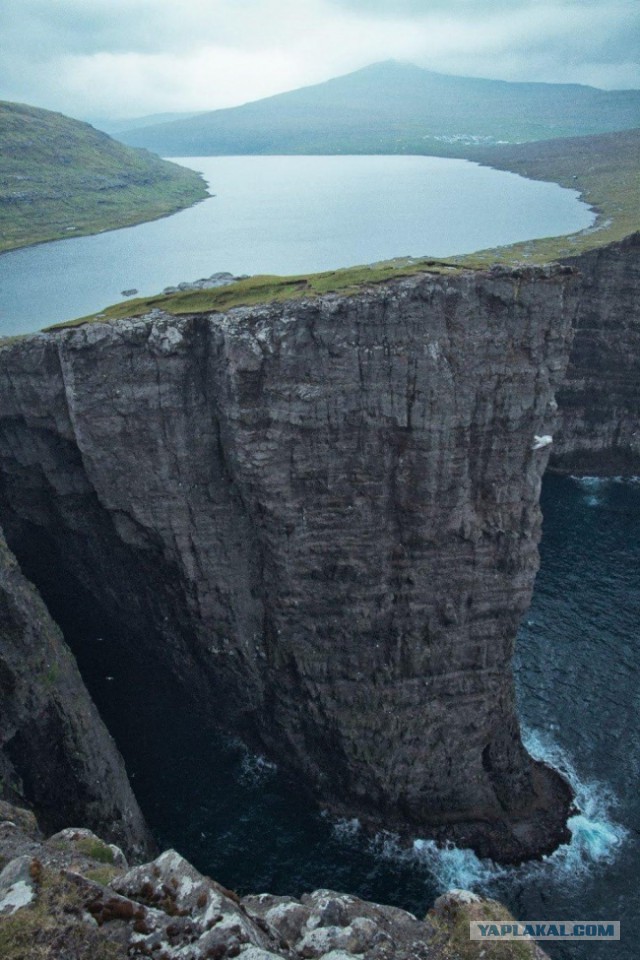 Лучшие фотографии года