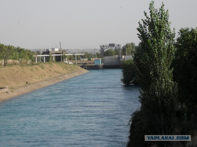 ЧИРЧИК