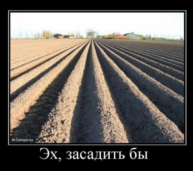 Открытый кубок Владивостока по фитнес-бикини 2012