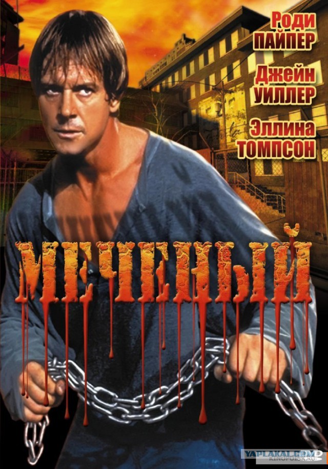 Пригрел шлюху - получи плюху!