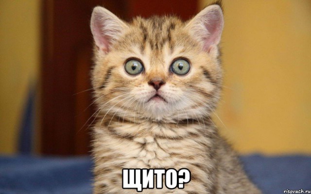 А поутру они проснулись...