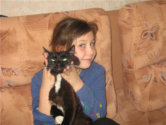 Дети и коты