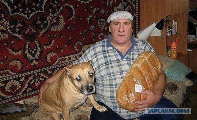 Сравнение цен Леруа во Франции и России