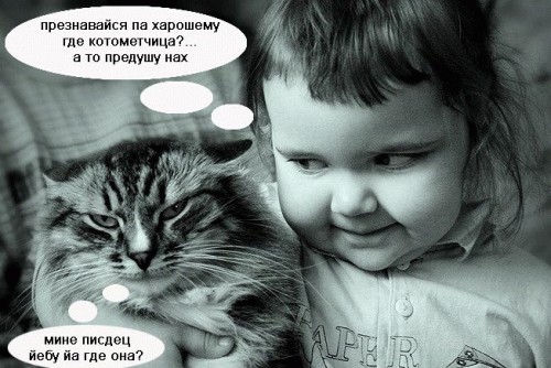 Которозыск, срочно!