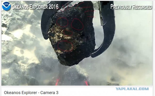 Началась онлайн-трансляция происходящего в самом глубоком месте Земли