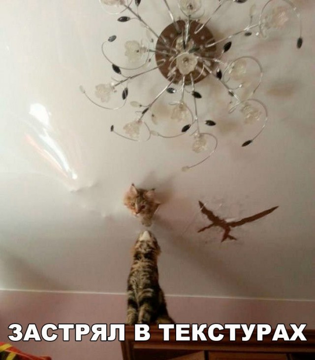 184 картинки для поднятия настроения!