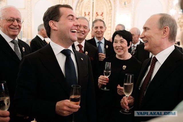 Лавочку прикроют: Россиян лишают дешевых покупок в Сети