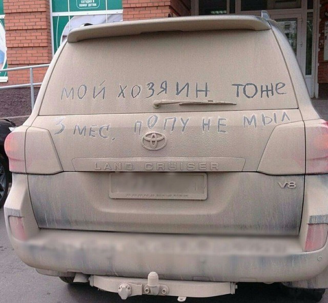 Подборка картинок для настроения