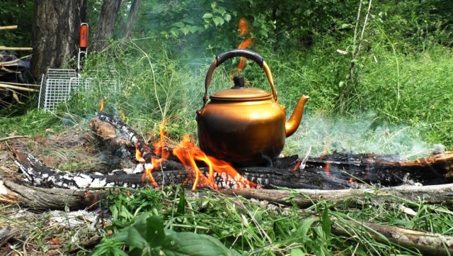 Бушкрафт по-женски: мясо на углях, гамак из тростника, травяной чай