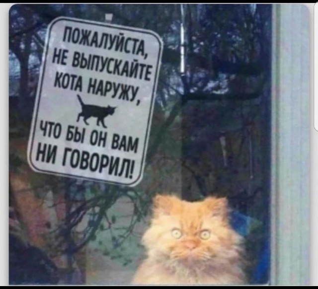 Прикалюхи