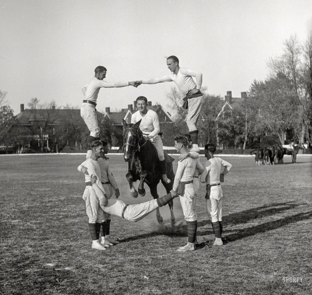 История в фотографиях