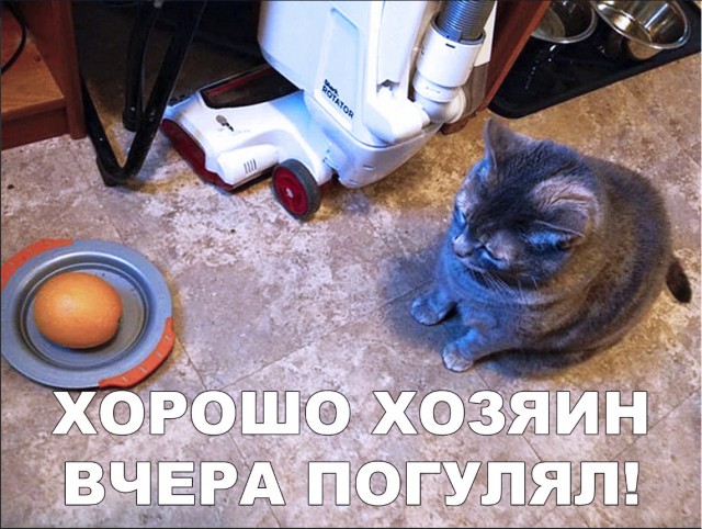 Нестандартный юмор