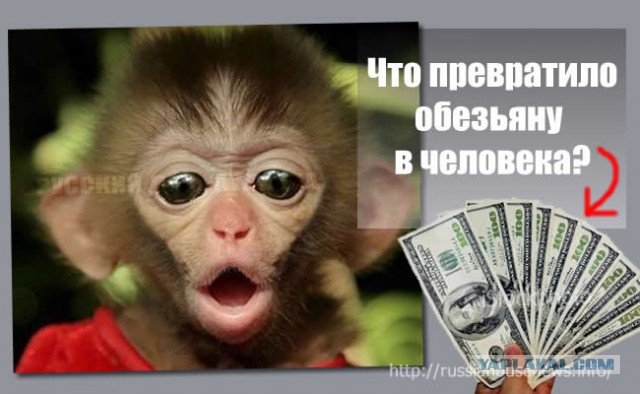 Глава ФНЭБ о списании жителям Чечни многомиллиардных долгов: «Не знал, что газ у нас – бесплатный ресурс»