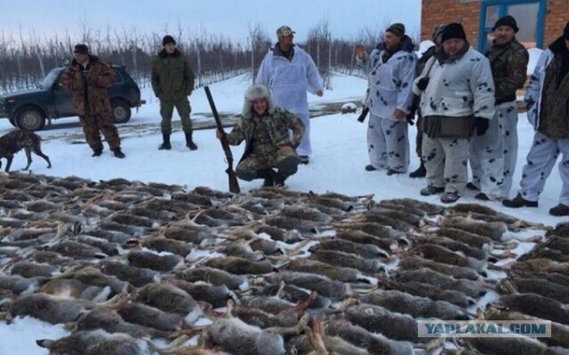 Краснодарскую журналистку судят за статью о браконьерской рыбалке Медведева в заповеднике