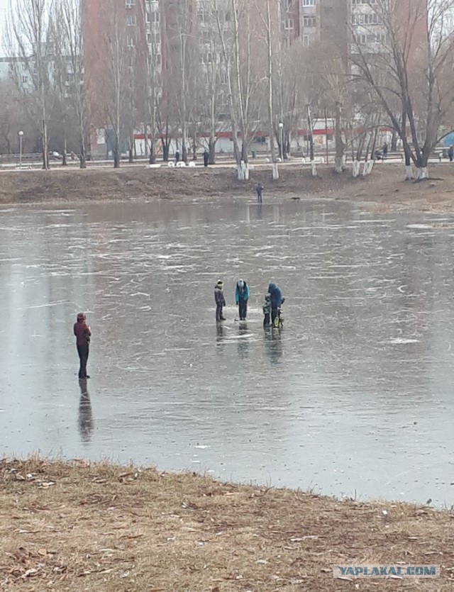 Сотрудница московского банка погибла, пытаясь срезать путь по льду Москвы-реки