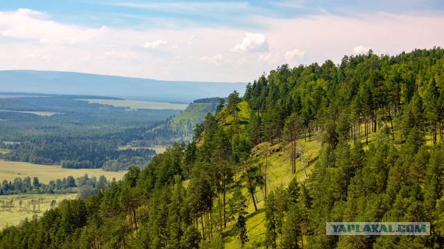Сам себе фотограф
