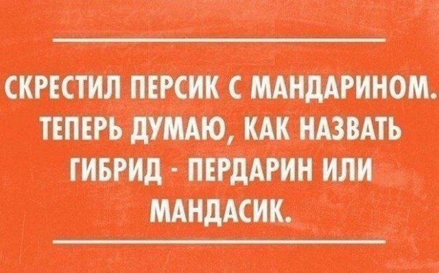 Картинки всякие