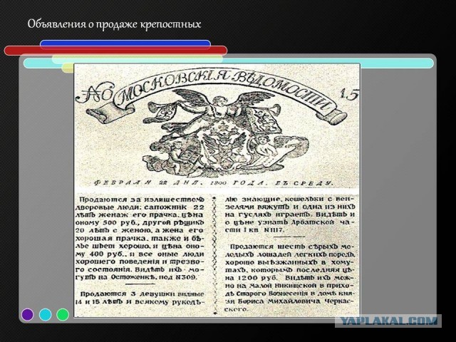 Собрание в школе. Почти прямой эфир