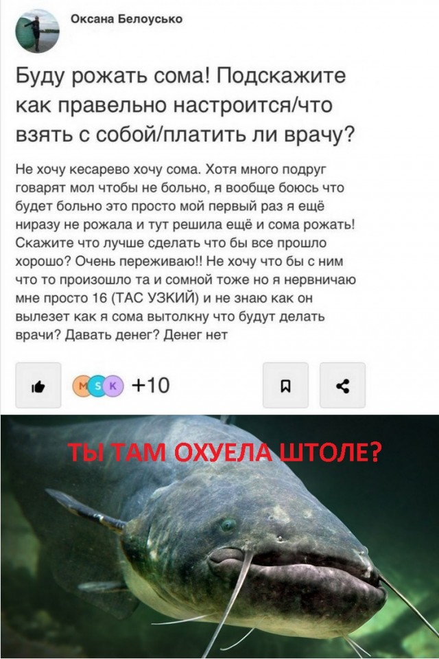 Пятница. И немного слегка пошлых картинок с надписями и без 16+ (30.10)