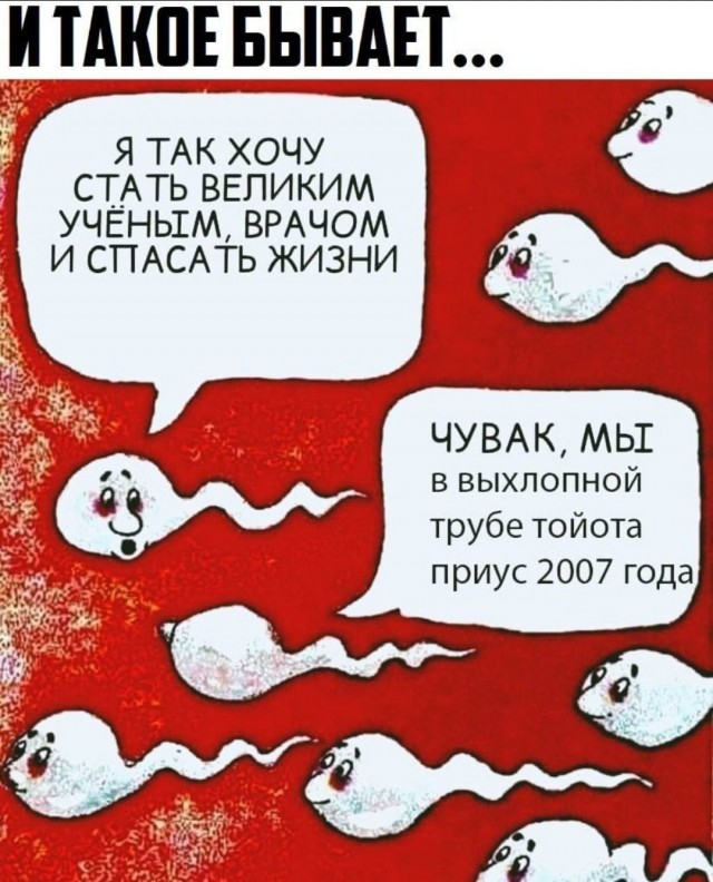 Забавные пошлости