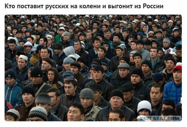 Мигранты попросили ввести для россиян карты с чипами о дактилоскопии