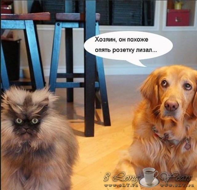 Подеградируем, побаяним... ч.2
