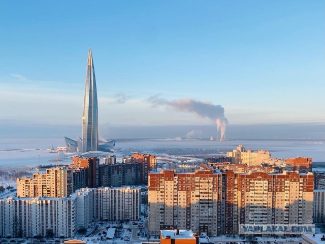 Почему женщинам легче получить секс?