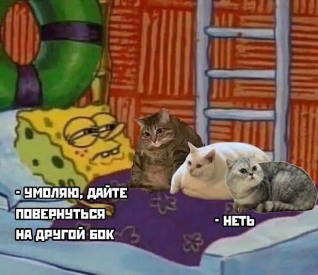 Картинки и мемы для настроения  -  9