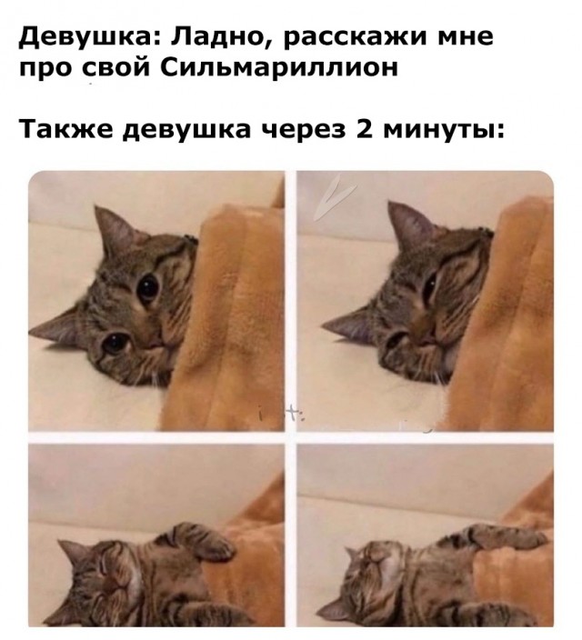 Весёлый полтишок 19.05.22