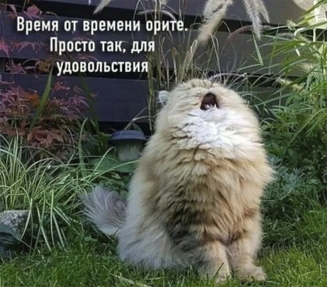 Немного картинок и прочей хреноты Vol. 15
