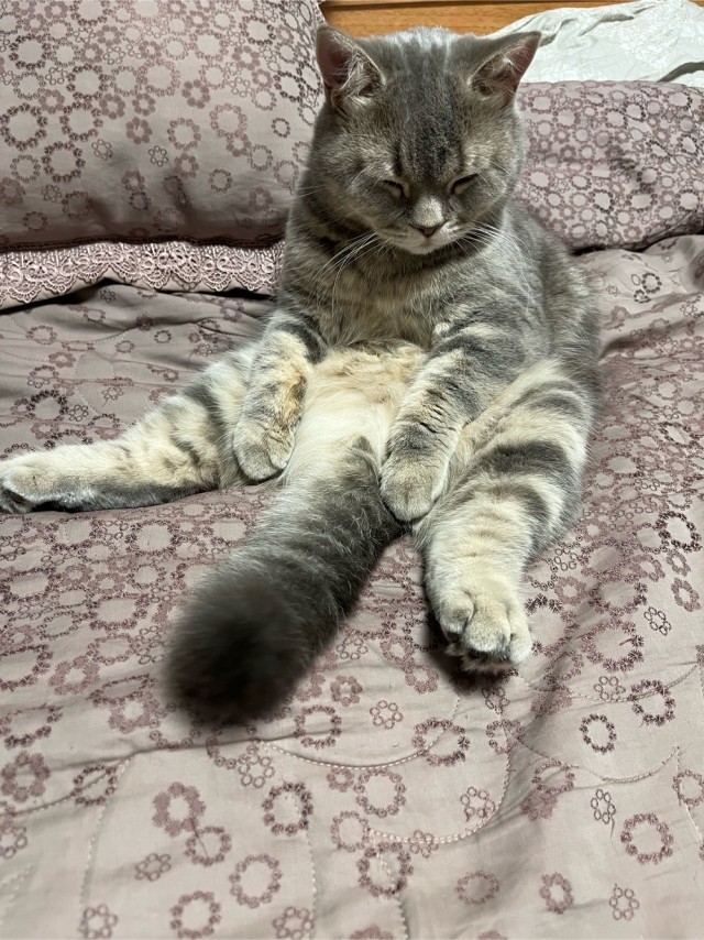 Начну котовторник чуть раньше!
