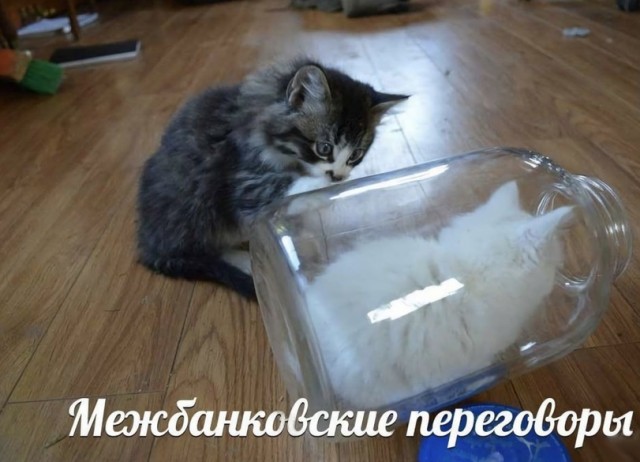 Так себе картинки 01.07.22