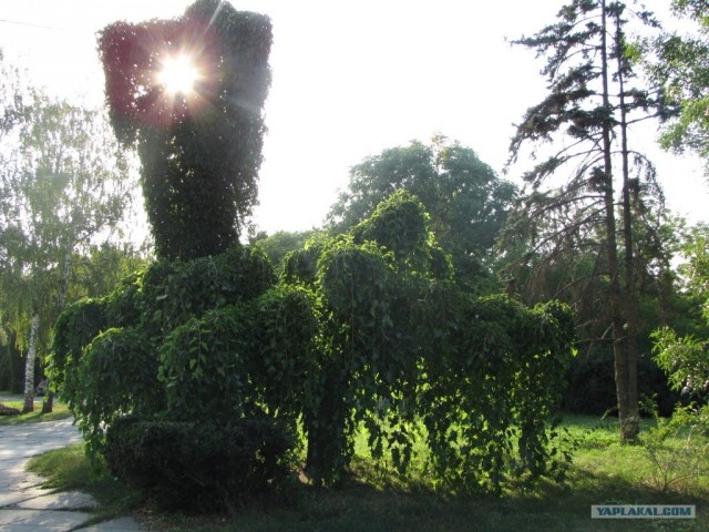 Одесса 2012